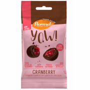 Yow Crispies Cranberry - Flormel