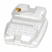 Br&aacute;quete Roth PolySafira - Dental Morelli