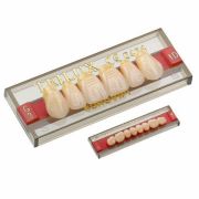 Dente Posterior Inferior 3E - Trilux